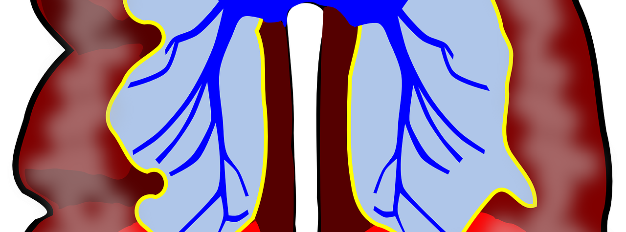 Graphical image of lungs